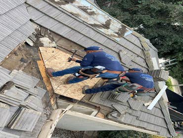 Plywood repair