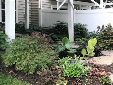 Photos by Landscape Therapy LLC #1