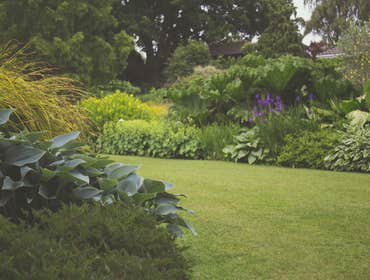 Photos by B&c Fruit Trees & Landscape LLC #1