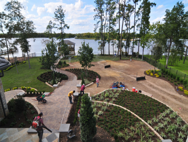 Lakeside Landscape