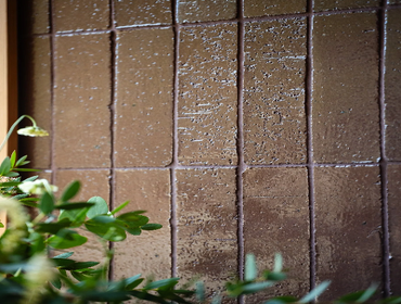 Photos by Ascent Building Company LLC #1