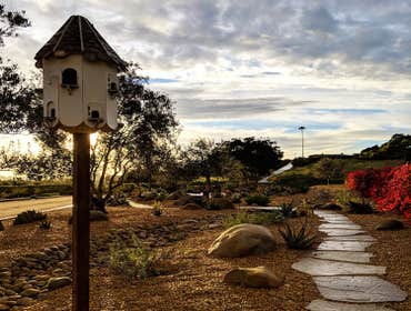 Photos by Silver Leaf Landscapes #1