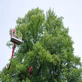 Photos by Elk Grove Tree Pros #1