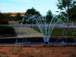 Photos by ASE Illini-scapes Inc #2