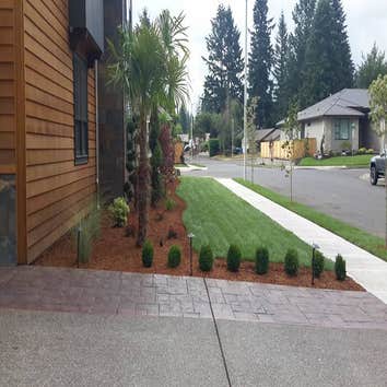 Photos by New View Irrigation & Landscaping Services LLC #1