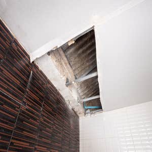 Photos by Water Damage Experts of Ogden #1