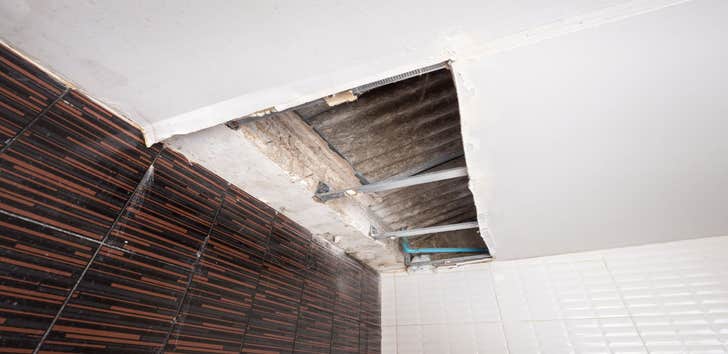 Photos by Water Damage Experts of Ogden #1