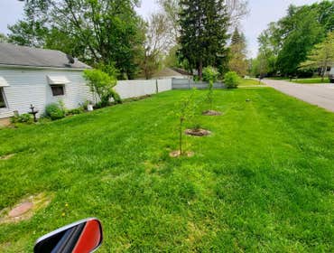 Photos by Junior Landscaping #1