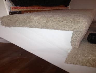 Hals Carpet & Vinyl Project