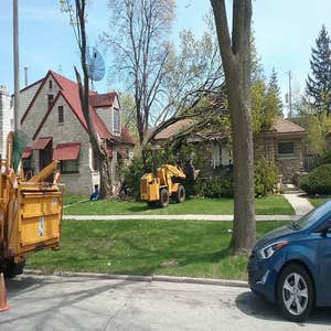 Photos by Tree and Snow Removal Service LLC #3