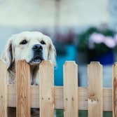 Tigard Fence Pro's
