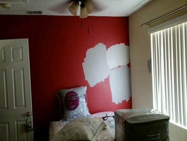 Photos