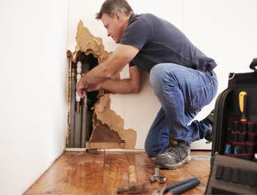 Photos by Apex Damage Restoration Pompano Beach #1