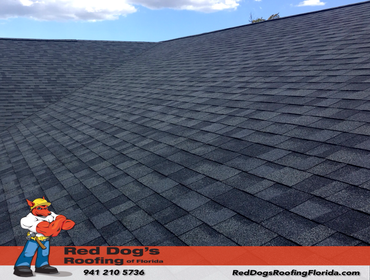 Photos by Red dog's Roofing of Florida #1