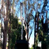 Tree Techs Professional Arbor Care