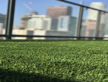 Turf Projects