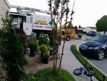 Photos by Amigos Lawn Care & Tree Service #1