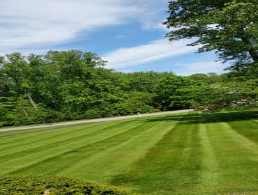 Photos by Marquez Landscaping and Tree Services LLC #2