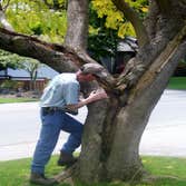 A Better Tree Service Photos Stump grinding, Pruning, Emergency tree service and Consulting.