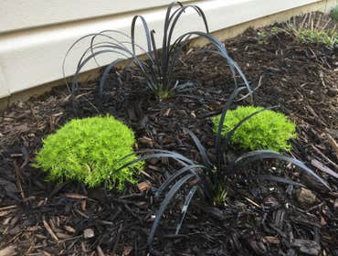 Photos by Golden Eagle Hardscapes LLC #1