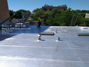 Roof Painting & Maintenance