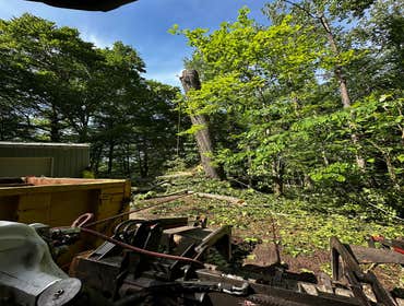 Flores Tree Services General & Landscaping