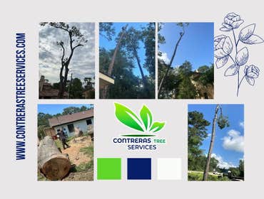Photos by Contreras Tree Services #37