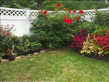 Photos by Landscape Therapy LLC #1