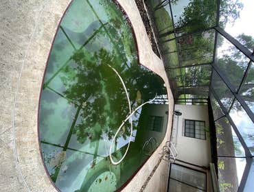 Pool Cleanups Pool cleanups - we turn green/black pools to blue, clean, clear, and algae-free. This is done by either multiple cleanup visits or by a d