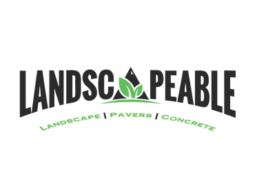 Company's Main Logo Design