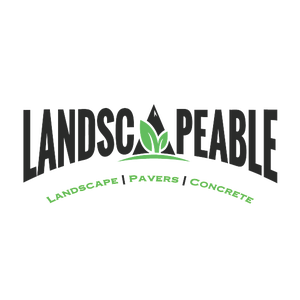 Company's Main Logo Design