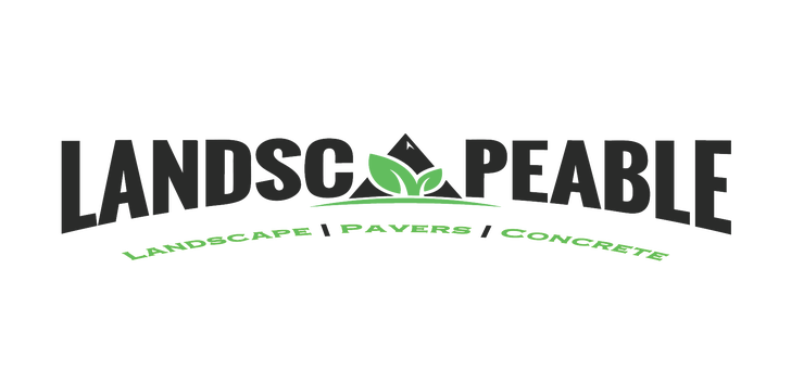 Company's Main Logo Design