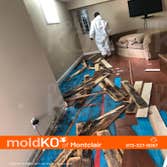 Mold Ko of Montclair