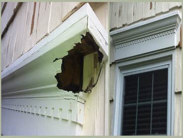 Painting, Drywall, Carpentry