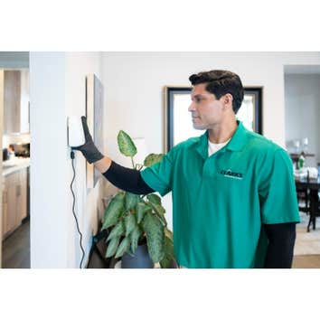 Clark's Termite & Pest Control