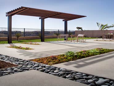 Photos by Promised Path Landscape Inc. #3