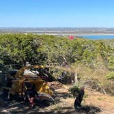 Photos by Tree Service Santos #4