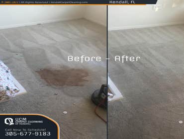 Photos by Ucm Carpet Cleaning of Kendall #1