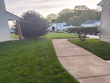 Photos by Beauty Meister Landscaping LLC #2