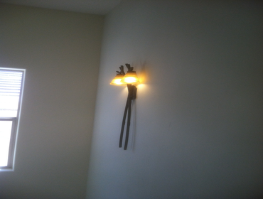 Unlimited Electric Project 1