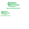 GEMSERV International, Inc logo
