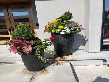 Photos by Hernandez ASSOC. Landscaping