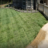 Landscaping