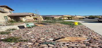 Photos from Buchanan Landscape