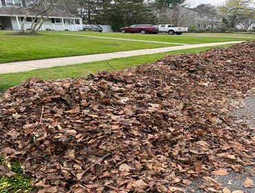 Photos by Mendoza Landscaping & Lawn Service LLC #13
