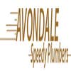 Avondale Speedy Plumbers logo