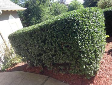 Photo(s) from Aguilar Landscape