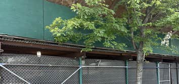 Nyc Sidewalk Shed & Pipe Scaffolding