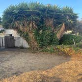 Cavara Tree Service Inc
