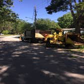Photos by Flynn's Tree Pros #1